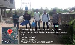 Plastic collection activities