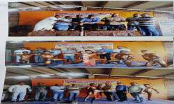 Sports Competition: Best Physique