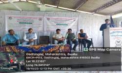 Revised Syllabus Workshop 2024